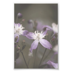 Dark Purple Flower Blossoms Floral Photo Print