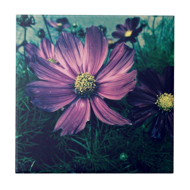 Dark Purple Flowers Photo Art Ceramic Tile (Front)
