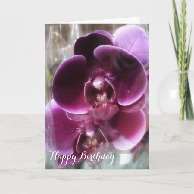 Dark Purple Moth Orchids Card (Front)