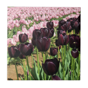 Dark Purple & Pink Tulips Ceramic Tile