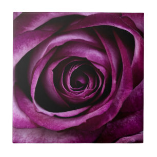 Dark Purple Rose Ceramic Tile