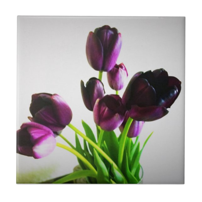 Dark Purple Tulips Ceramic Tile (Front)