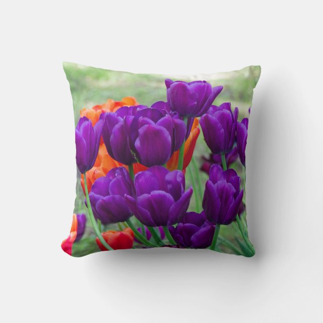 Dark purple tulips on a sunny day in the garden cushion (Front)