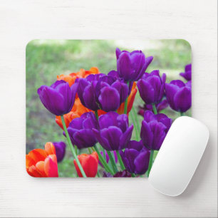 Dark purple tulips on a sunny day in the garden mouse pad