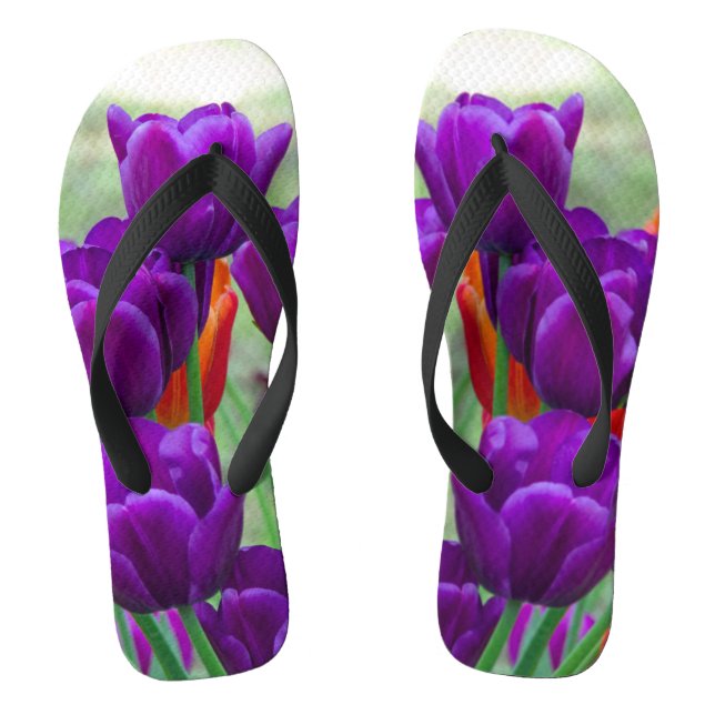 Dark purple tulips  on a sunny day in the garden   thongs (Footbed)