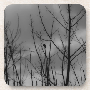 Dark Raven Coaster