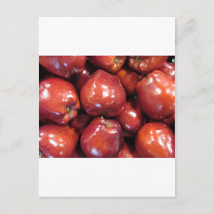 Dark Red Apples Postcard