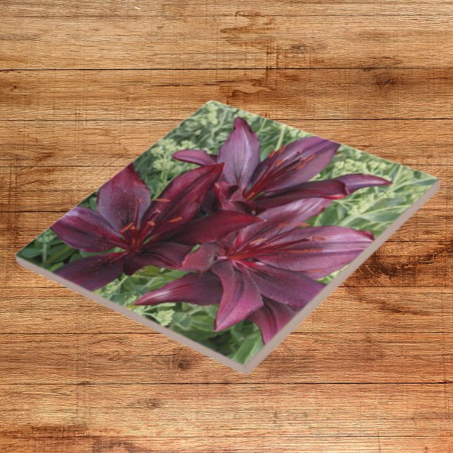 Dark Red Asiatic Lilies Floral Ceramic Tile (In Situ)
