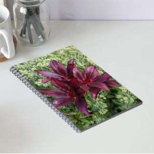 Dark Red Asiatic Lilies Floral Notebook