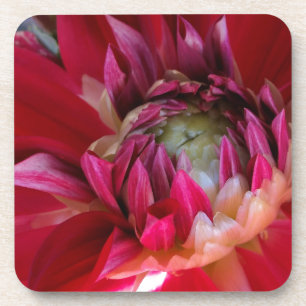 dark red blossom coaster