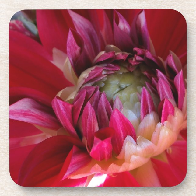 dark red blossom coaster (Front)