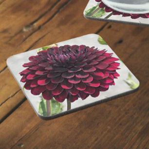 Dark Red Dahlia Bloom Floral Coaster