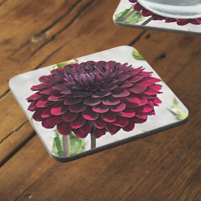 Dark Red Dahlia Bloom Floral Coaster (In Situ)