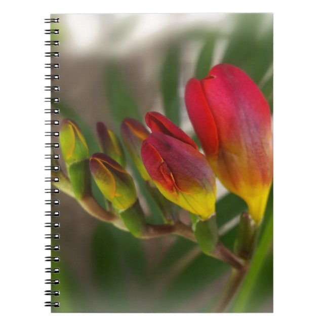 dark red freesia notebook (Front)