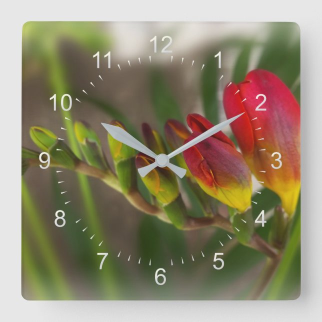 dark red freesia square wall clock (Front)
