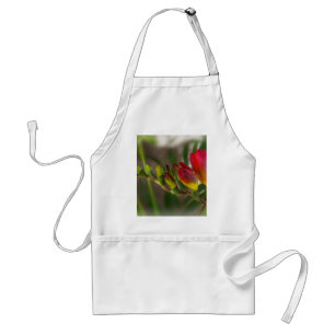 dark red freesia standard apron