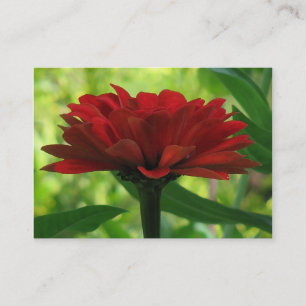 Dark Red Zinnia ATC Business Card