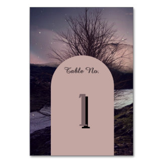 Dark Romantic Gothic Castle  Table Number