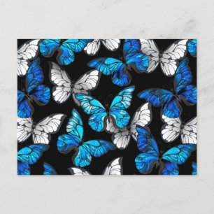 Dark Seamless Pattern with Blue Butterflies Morpho Invitation Postcard