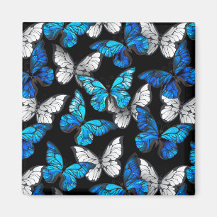 Dark Seamless Pattern with Blue Butterflies Morpho Magnet