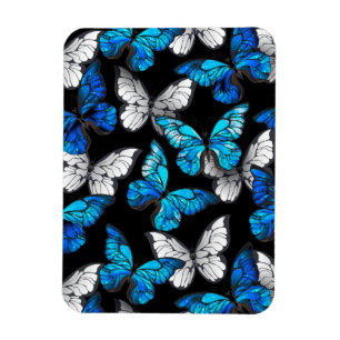 Dark Seamless Pattern with Blue Butterflies Morpho Magnet