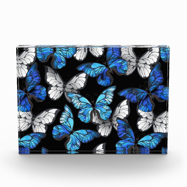 Dark Seamless Pattern with Blue Butterflies Morpho Photo Block (Front)