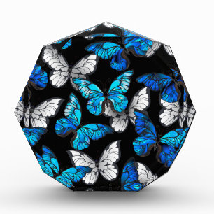 Dark Seamless Pattern with Blue Butterflies Morpho Photo Block