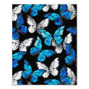 Dark Seamless Pattern with Blue Butterflies Morpho Photo Print