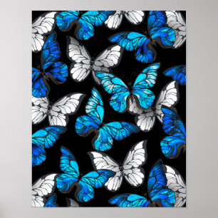 Dark Seamless Pattern with Blue Butterflies Morpho Poster