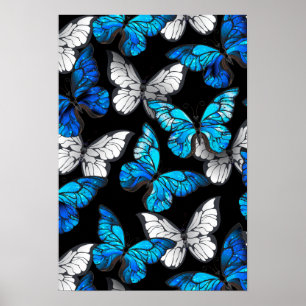 Dark Seamless Pattern with Blue Butterflies Morpho Poster