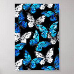 Dark Seamless Pattern with Blue Butterflies Morpho Poster