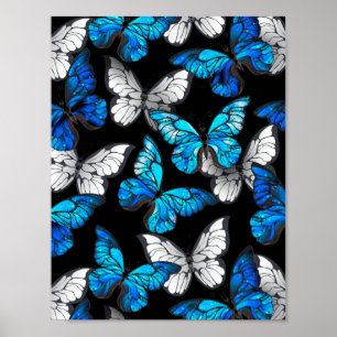 Dark Seamless Pattern with Blue Butterflies Morpho Poster