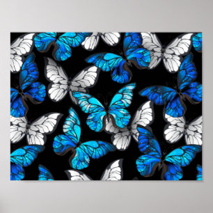 Dark Seamless Pattern with Blue Butterflies Morpho Poster