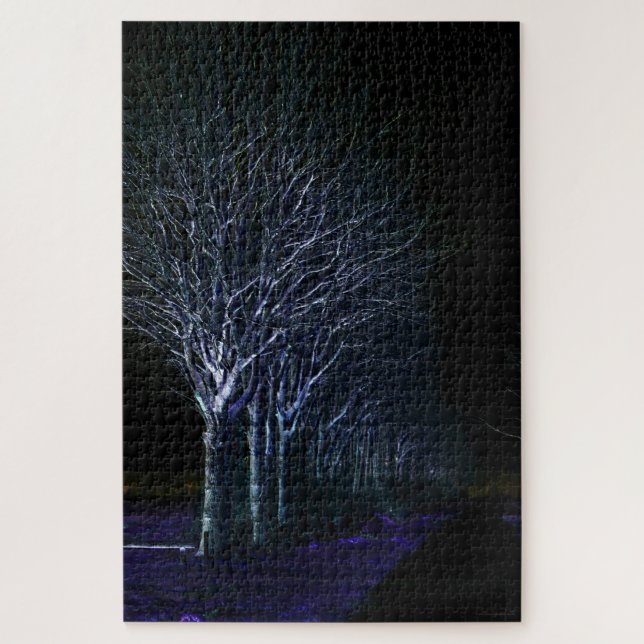 Dark Side 10 20x30 1014pc jpcnm Jigsaw Puzzle (Vertical)