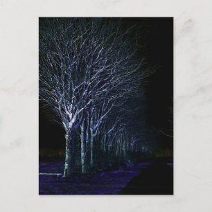 Dark Side 10 pccnm Postcard