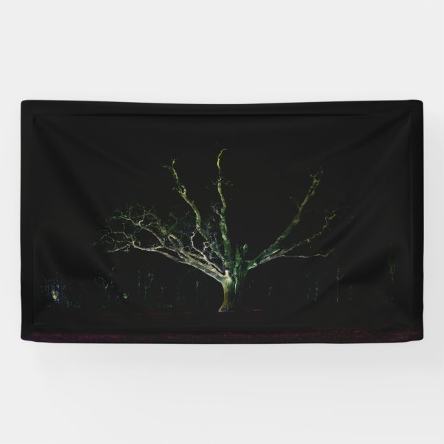 Dark Side 1 bnrcna Banner (Horizontal)