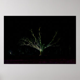 Dark Side 1 wapcn Poster