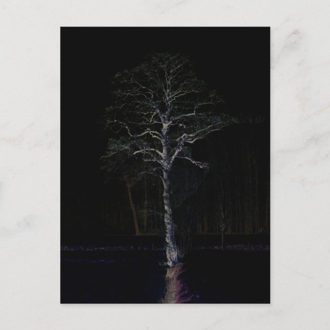 Dark Side 3 pccna Postcard (Front)