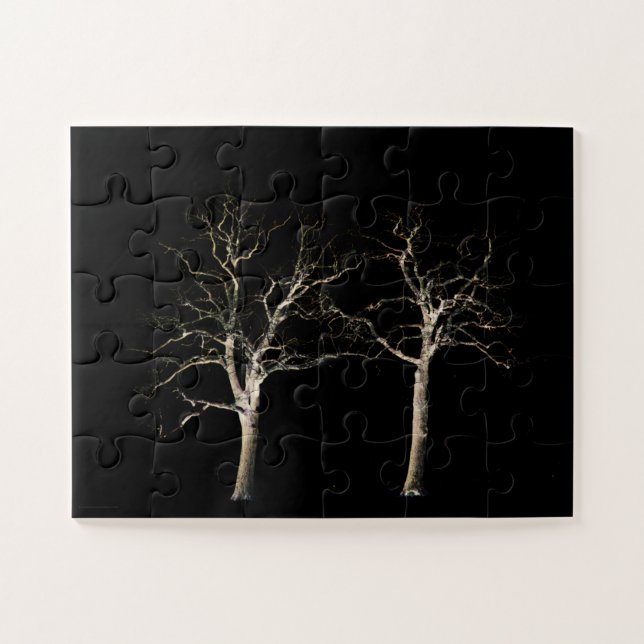 Dark Side 9 11x14 30pc jpcnm Jigsaw Puzzle (Horizontal)
