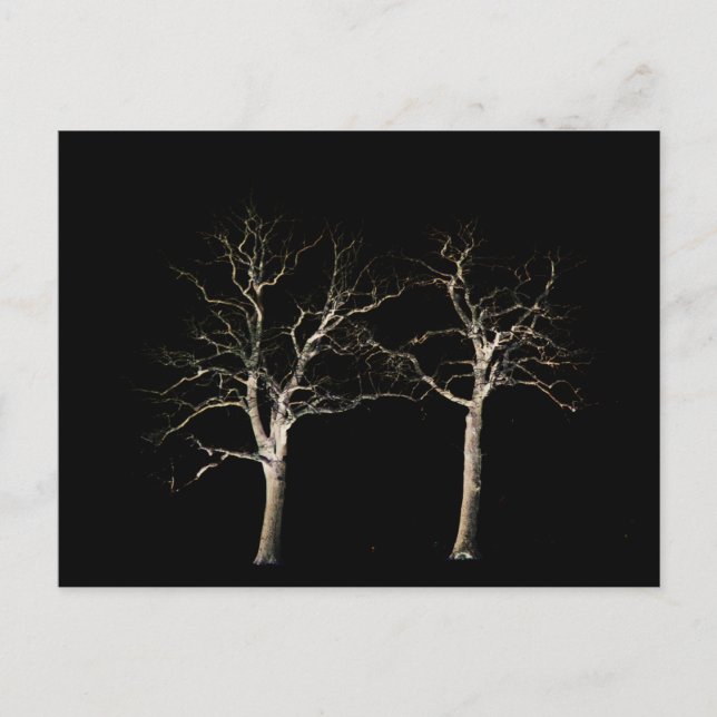 Dark Side 9 pccna Postcard (Front)