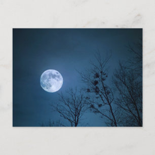 Dark Sky Postcard