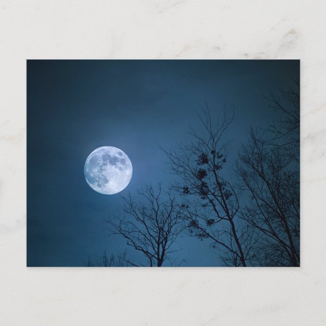 Dark Sky Postcard (Front)