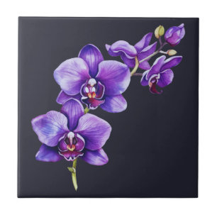 Dark Slate Grey, Purple Orchid Ceramic Tile