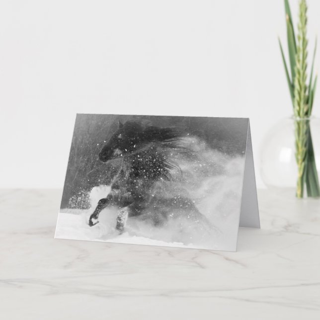 Dark Snow Horse - Horse Greeting Card (Front)