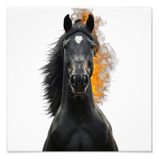 Dark Stallion Inferno Photo Print