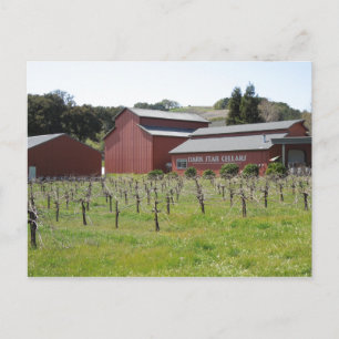 Dark Star Cellars Winery in Paso Robles, CA Postcard