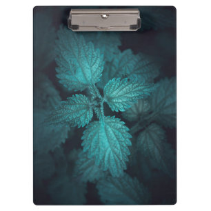 Dark stinging nettle nature photo clipboard
