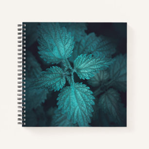 Dark stinging nettle nature photo notebook