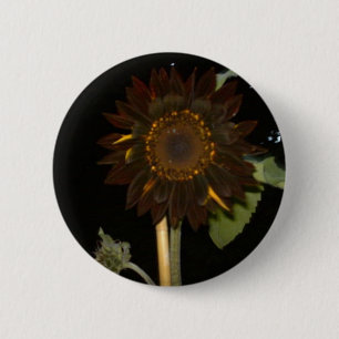 Dark Sunflower at Night 6 Cm Round Badge