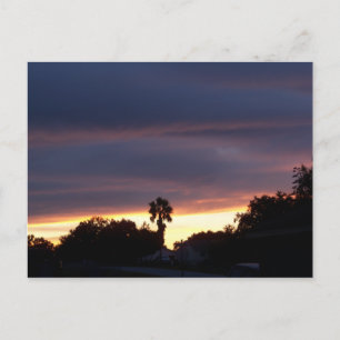 Dark sunset and a palm tree on a postcard